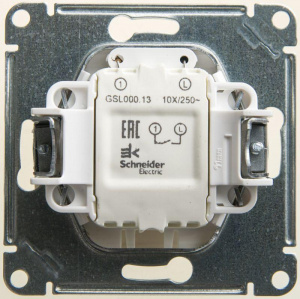 GSL000613_1